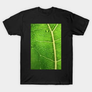 Fiddle Leaf Ficus T-Shirt